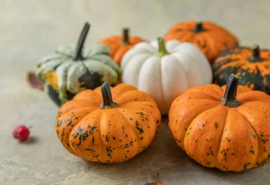 Yaratıcı sonbahar kompozisyonu. Renkli arkaplanda fotokopi alanı olan kabaklar. Hasat konsepti, Şükran Günü, Cadılar Bayramı, davetiye kartları.