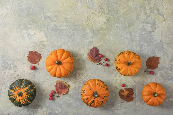 Creative autumn composition. pumpkins on a colored background with copy space. concept of harvest, thanksgiving, Halloween, invitation cards.