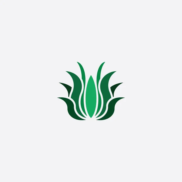 Aloe Vera Simgesi Logo Vektör Işareti Tasarım Öğesi — Stok Vektör
