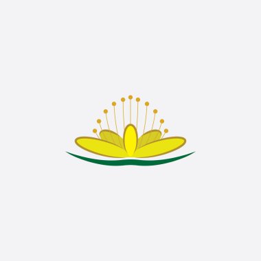 St john's wort çiçek bitki simgesi tasarım