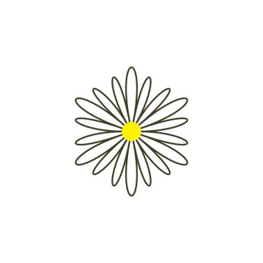 papatya sembol simge vektör çiçek