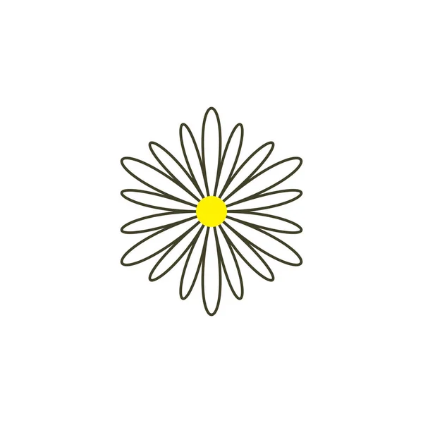 Camomille logo icône vecteur fleur herbe symbole — Image vectorielle