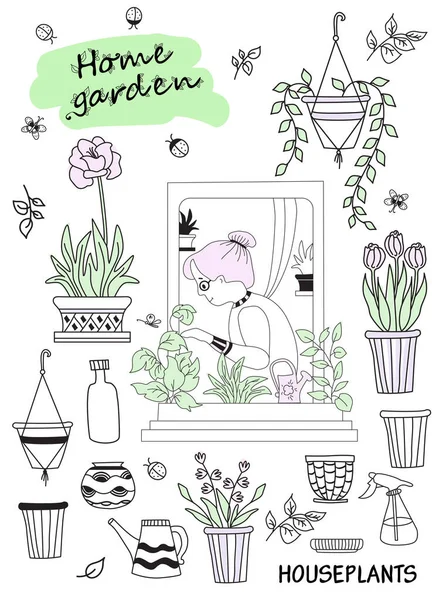 現代の家庭や人々の観葉植物。緑のインテリアの高齢女性。かわいいベクトルのドアのセット-花、ポット、ツールで窓の女性。趣味と緑の家 — ストックベクタ