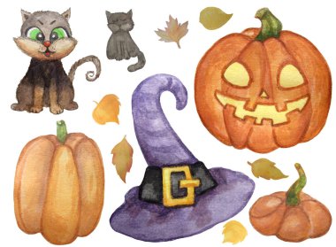 Cadılar Bayramı çizimleri. Siyah kedi, turuncu balkabağı, mor cadı şapkası, Jack Lantern. Suluboya el çizimi. Beyaz arkaplan üzerinde izole edilmiş.