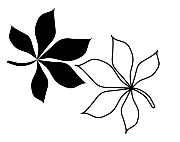 Botanica. Disegno vettoriale di una foglia di un castagno. Profilo nero e silhouette. Elemento per design e arredamento, logo. Illustrazione vettoriale, doodl. Isolato su sfondo bianco — Vettoriale Stock