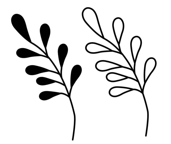 Botanica. Disegno vettoriale di un ramo con foglie. Linea contorno nero e silhouette. Elemento di design e decorazione, logo. Illustrazione vettoriale, scarabocchio a mano — Vettoriale Stock