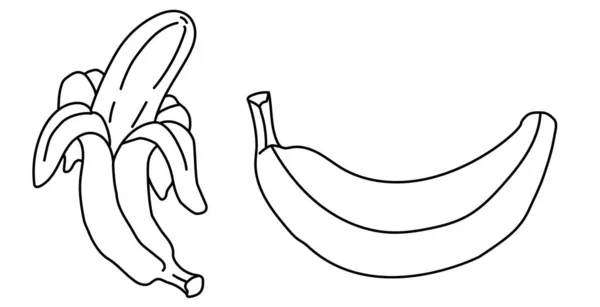 Banana. Outline drawing. Two options - whole and cleaned. Vector. Isolated on white — Stock Vector