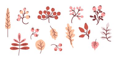 Sıcak bir sonbahar. Renkli sonbahar çizimleri seti. Hasat - çeşitli yaprak, dal ve böğürtlen. Sonbahar tasarımı ve dekorasyonu için kullan. Vektör. Beyaz arkaplanda izole nesneler