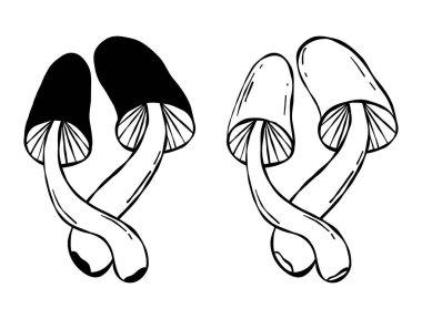 Bir çift orman mantarı karalaması. Beyaz Arkaplanda İzole Eğri El Çizimi. Taslak çizimi. Vektör İllüstrasyonu. Yapay zeka değil