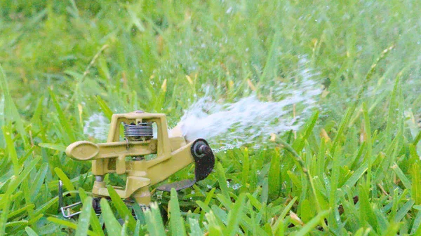 Rincn Victoria Mlaga Spain Sprinkler Irrigating Grass Garden — Stock Photo, Image