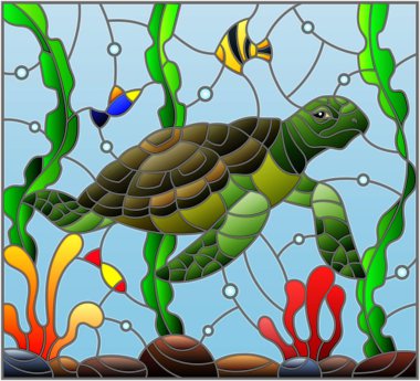 Deniz kaplumbağası algler, Balık ve taşlar ile deniz dibinin arka plan üzerinde renkli cam stiliyle çizimde