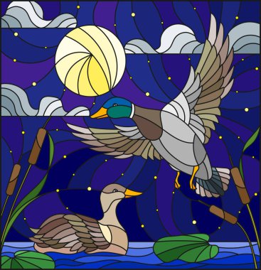 Vitray tarzı cstarry gökyüzü ve aya karşı sazlık Gölde ördekler ile resimde
