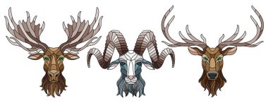 Beyaz arka plan üzerinde renkli cam öğeleri, vitray hayvan başları, bir geyik, bir geyik ve bir Ram ile bir dizi ayırır