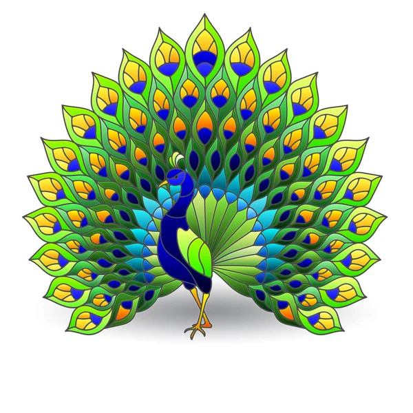 彩色玻璃元素与孔雀鸟, 在白色背景查出的彩色图像 — 图库矢量图片