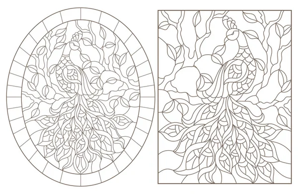 Conjunto de ilustraciones de contorno con pavos reales sobre una rama de árbol, contornos oscuros sobre un fondo blanco — Vector de stock