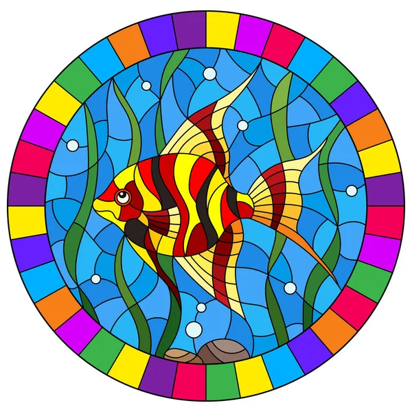 Illustration i målat glas stil ljusa fisk skalär på bakgrunden av vatten och alger, oval bild i ljusa ram — Stock vektor
