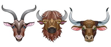 Vitray öğeleri bir dizi, hayvan kafaları ile vitray, bir keçi, bir bizon ve bir boğa, beyaz arka plan üzerinde izole