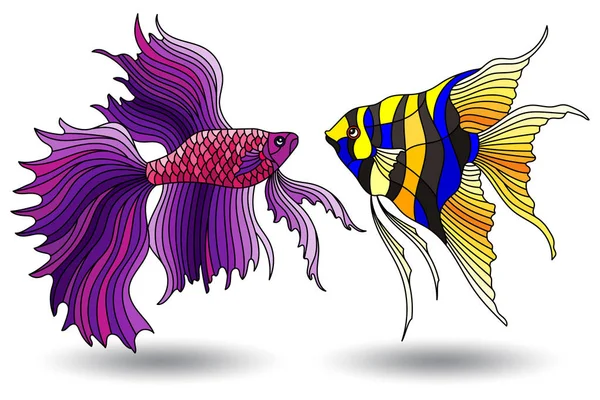 Set of stained glass elements with aquarium fish , fish isolated on white background — Stock Illustration Set of stained glass elements with aquarium fish , fish isolated on white background Stock Illustration
