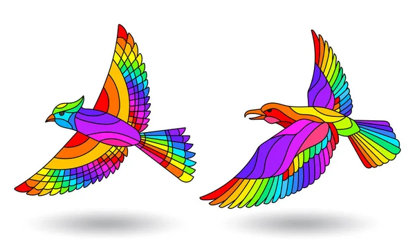 一套彩色玻璃插图与鸟类,明亮的彩虹鸟在白色背景 — 图库矢量图片