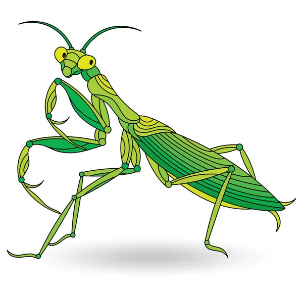 Ilustración en estilo vitral con mantis, insecto aislado sobre fondo blanco — Vector de stock