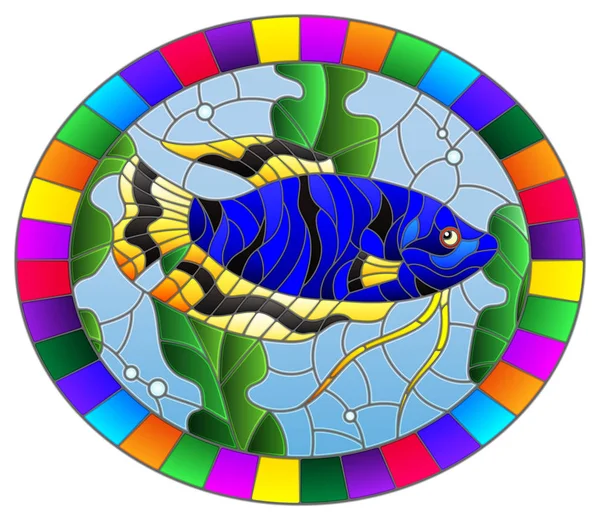 물과 조류의 배경에 푸른 gourami스테인드 글라스 스타일의 일러스트, 밝은 프레임의 타원형 이미지 — 스톡 벡터