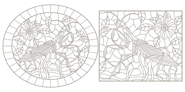 Set med kontur illustrationer av färgat glas med mantisar och blommor, mörka konturer på vit bakgrund — Stock vektor