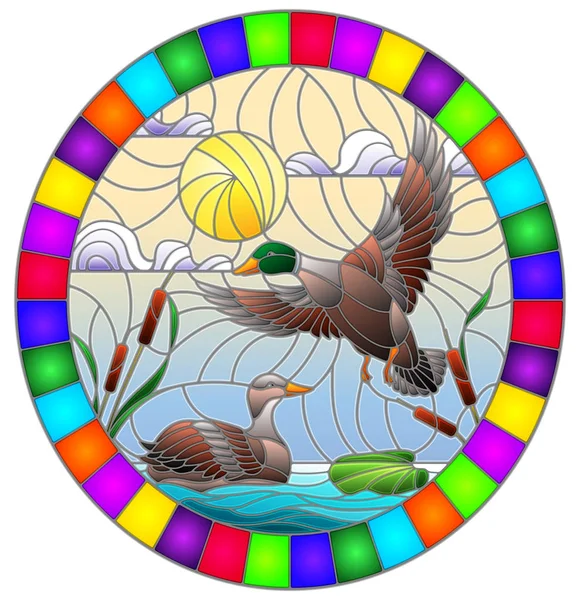 Ilustración en estilo vitral con patos en un estanque en las cañas contra el cielo nublado y el sol, imagen ovalada en marco brillante — Vector de stock