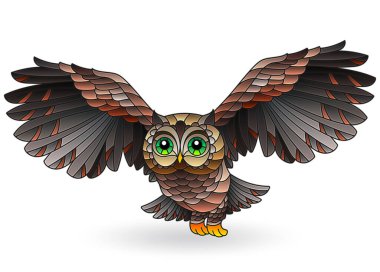 Baykuşlu bir takım vitray elementler, beyaz arka planda izole edilmiş kahverengi kuş.