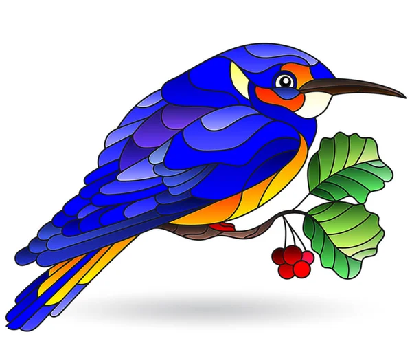 Illustration Vitrail Avec Oiseau Bleu Vif Sur Une Branche Arbre — Image vectorielle