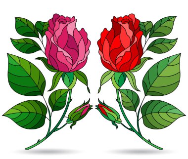 Çiçeksel elementlerle renklendirilmiş cam şekilli resimler, beyaz arka planda izole edilmiş güller.