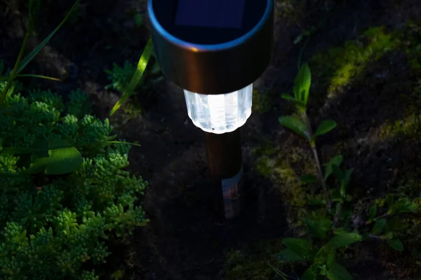 Lantern Solar Battery Nature Night — Stock Photo, Image
