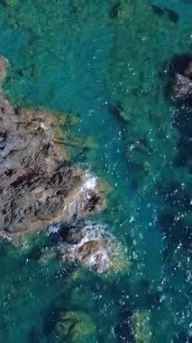 Güneşli bir günde Tropik Plajda Canlı Mercan Resifi Ekosisteminde Sualtı Keşfi