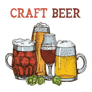Vektör bira cam bardağı çekilmiş kümesi ver. Beyaz arka plan üzerinde izole. Grafik doku Restoran şablonu için. Zanaat bira, pub, bar, oktoberfest Restaurant için.