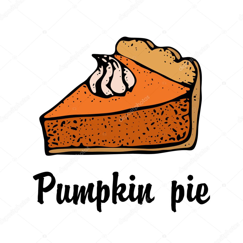 Pumpkin pie with cream isolated on a white background. Hand drawn sketch of the pie piece. Thanksgiving Day vector illustration. For identify the restaurant, packaging, menu design