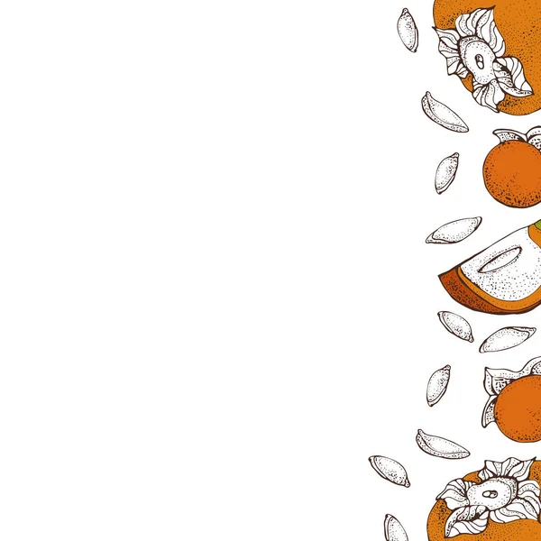 Пермовий векторний кадр. Ізольовані ручні векторні об'єкти з нарізаним шматочком і насінням. Ілюстрація стилю фруктового ескізу. Детальний ескіз вегетаріанської їжі — стоковий вектор