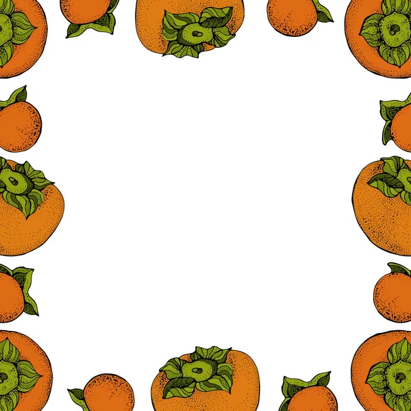 Cadre vectoriel Persimmon. Objets vectoriels isolés dessinés à la main avec de grands et petits Persimmons. Illustration de style dessin animé aux fruits. Croquis alimentaire végétarien détaillé — Image vectorielle