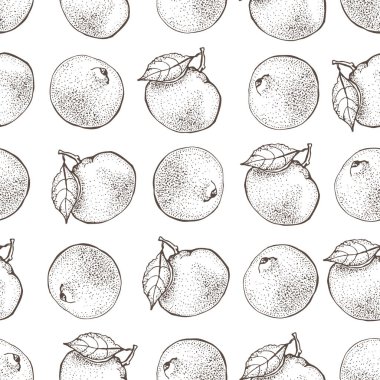 Vektör Dikişsiz desen mürekkep ile el çekilmiş narenciye, dilimleri ve yaprakları kroki. Beyaz arka plan üzerinde izole mandarin portakal, mandalina, limon. Vejetaryen gıda resimde ayrıntılı.