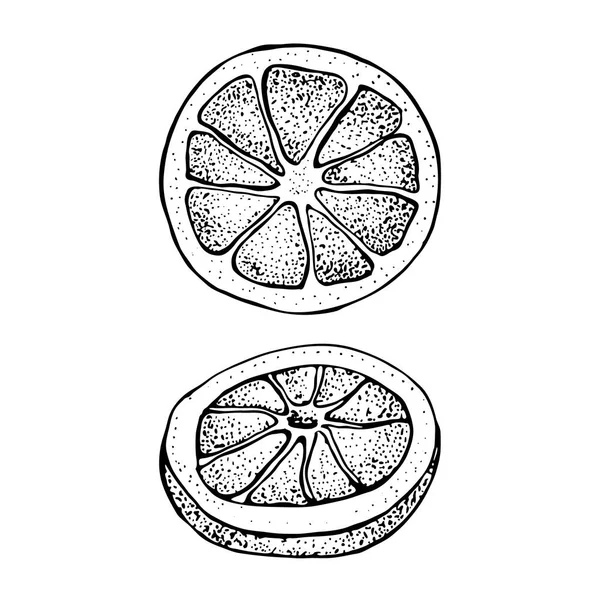 Vectorillustratie met inkt hand getekende citrusvruchten, plakjes stukken schets. Mandarijn oranje, tangerine, kalk geïsoleerd op een witte achtergrond. Gedetailleerde vegetarische maaltijden. — Stockvector