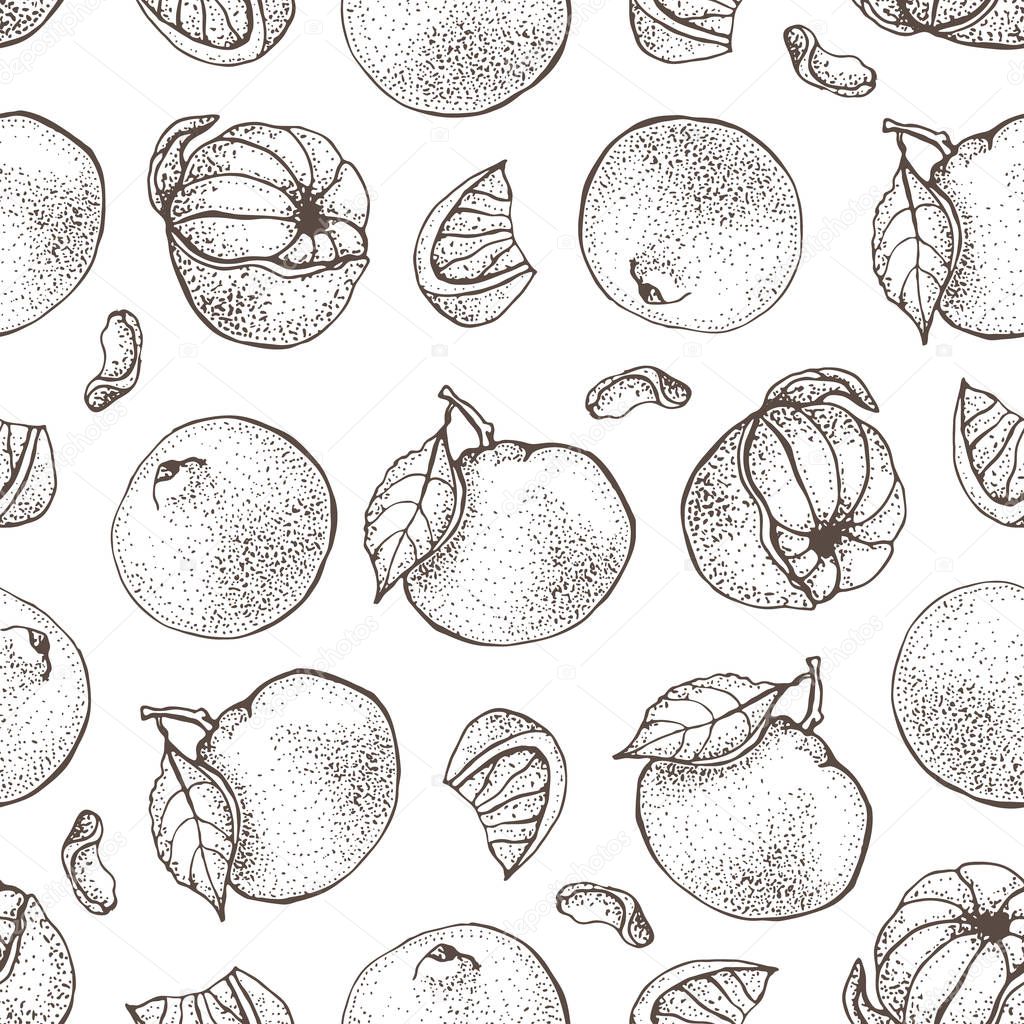 Vector seamless pattern with ink hand drawn citrus fruit, slices and leaves sketch. Mandarin orange, tangerine, lime isolated on white background. Detailed vegetarian food  illustration.