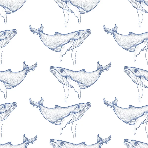 Modèle sans couture avec baleines à bosse dessinées à la main. Vecteur avec animal sous-marin. Illustration pour papier peint, fond de page Web, textures de surface, textile — Image vectorielle