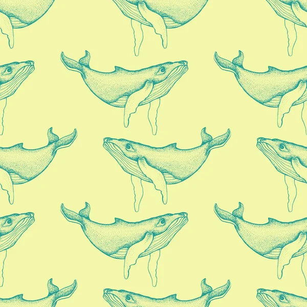 Patrón sin costuras con ballenas jorobadas dibujadas a mano. Vector con animal bajo el agua. Ilustración para papel pintado, fondo de página web, texturas superficiales, textil — Archivo Imágenes Vectoriales