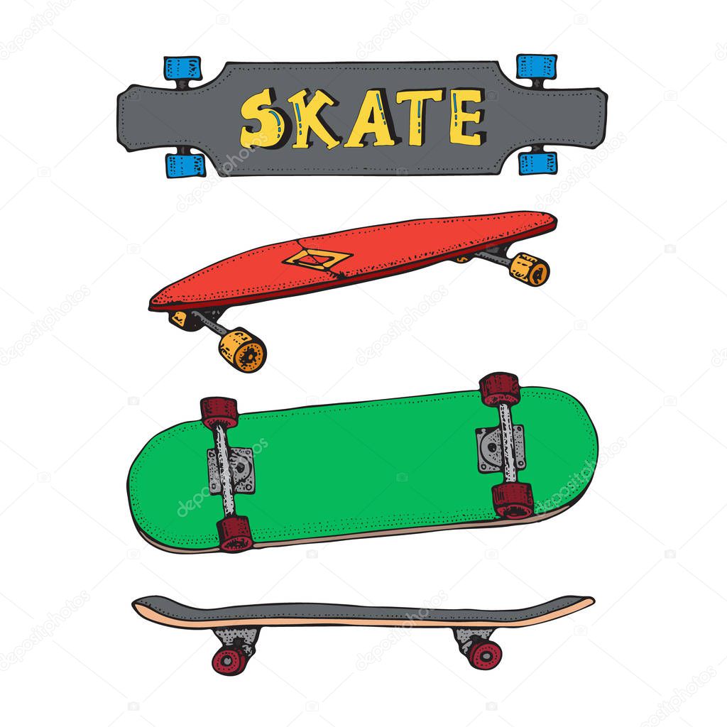 Set of skateboards isolated on white. Doodle Longboard, pennyboard. Lettering skateboard. Hand drawn vector illustration for poster, t-shirt, textile