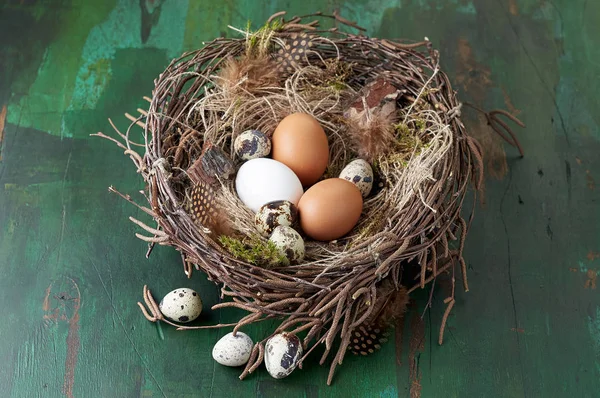 Easter nest of birch twigs and moss with chicken and quail eggs