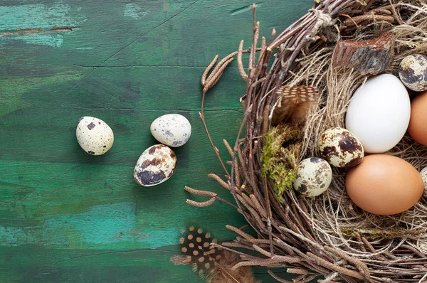 Easter nest of birch twigs and moss with chicken and quail eggs