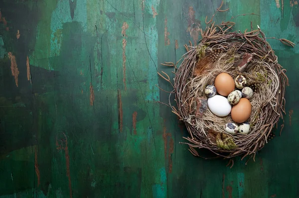 Easter nest of birch twigs and moss with chicken and quail eggs