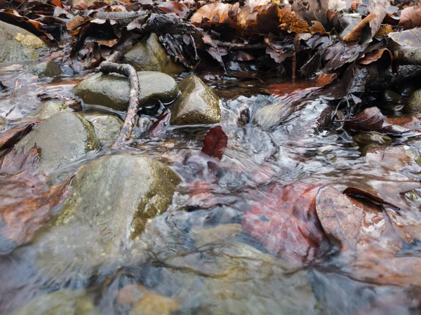 Деталь Неглибокого Гірського Потоку Стисла Вода Тече Між Мокрими Скелями — стокове фото