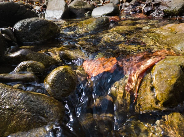 흐름을 가까이 수있다 거품이이는 은산의 울퉁불퉁 바닥을 바위들 사이로 흐른다 — 스톡 사진