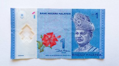 Kağıt banknot beyaz arka planda izole edilmiş, Malezya halkalarından birinin tersi.
