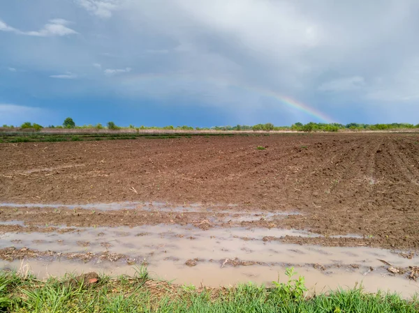 Een Prachtig Schilderachtig Landschap Van Akkerland Regen Een Kleurrijke Regenboog — Stockfoto