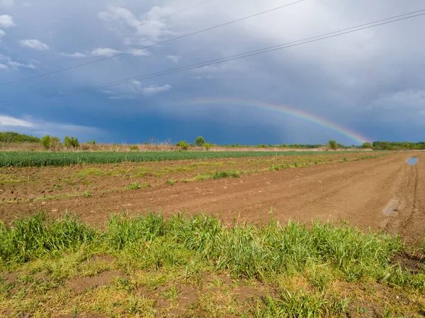 A beautiful picturesque scenic landscape of arable agricultural land after the rain and a colorful rainbow in the background against the dark clouds in the sky. Plowed field after the storm.